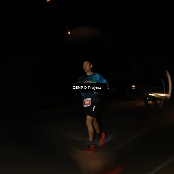 Runner Photo 4848376