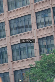 Runner Photo 4850708