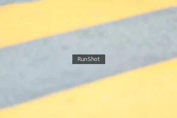 Runner Photo 4859637