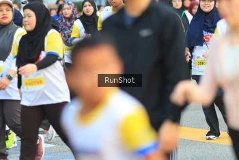 Runner Photo 4864096