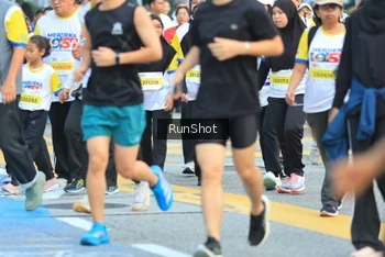 Runner Photo 4865040