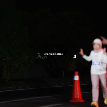 Runner Photo 4876180