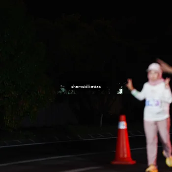 Runner Photo 4876203