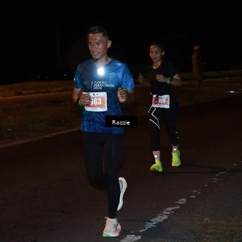 Runner Photo 4891817