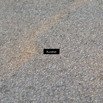 Runner Photo 4893022