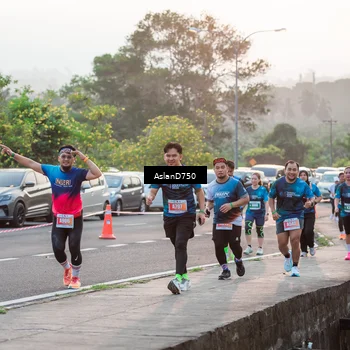 Runner Photo 4900210