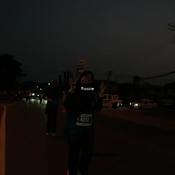 Runner Photo 4906532