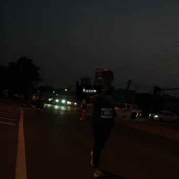 Runner Photo 4906608