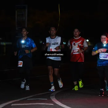 Runner Photo 4911505