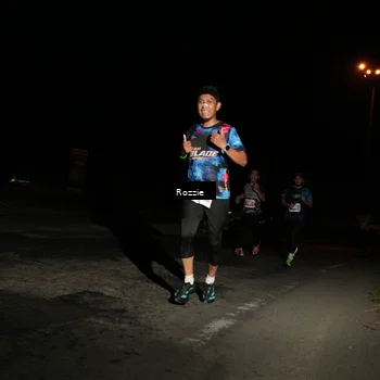 Runner Photo 4912713
