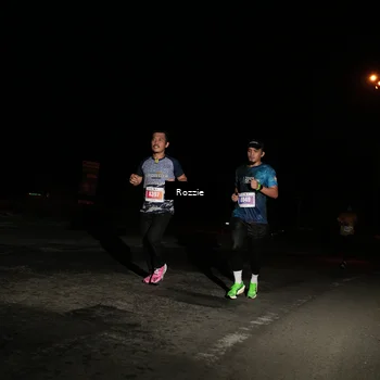 Runner Photo 4912720