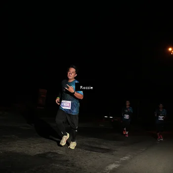 Runner Photo 4912747