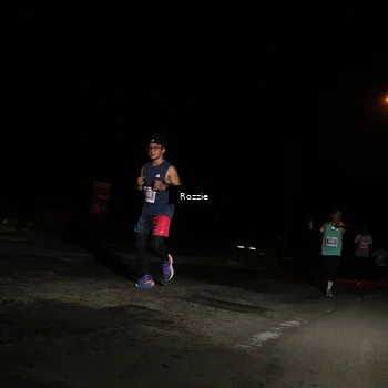 Runner Photo 4913359