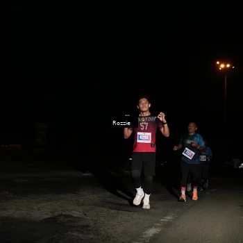 Runner Photo 4913864