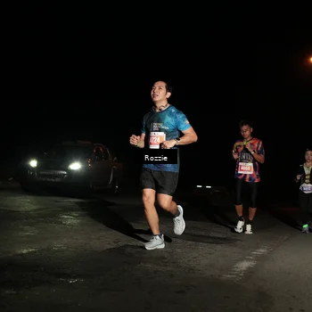Runner Photo 4913874