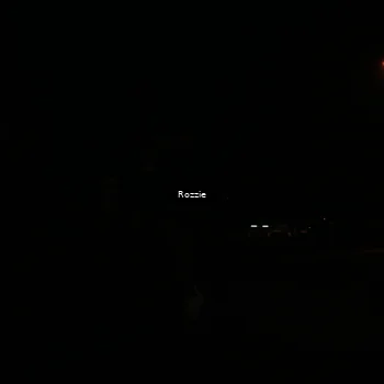 Runner Photo 4913889