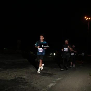 Runner Photo 4914220