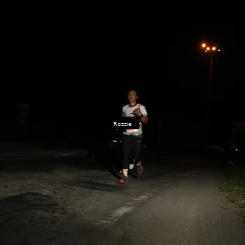 Runner Photo 4914285