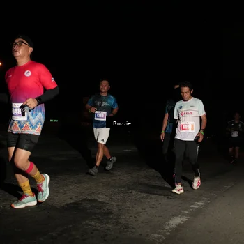 Runner Photo 4914500