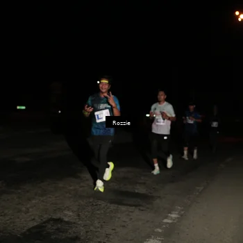 Runner Photo 4914580