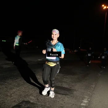Runner Photo 4915241