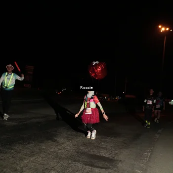 Runner Photo 4915925