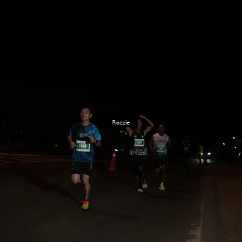 Runner Photo 4916111