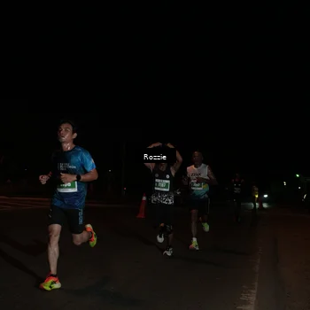 Runner Photo 4916114