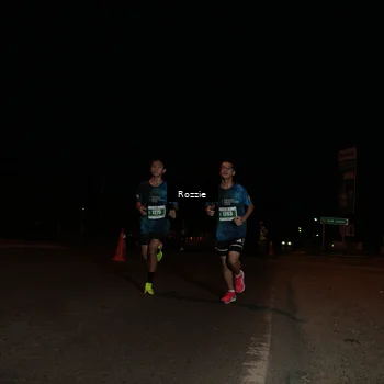 Runner Photo 4916147