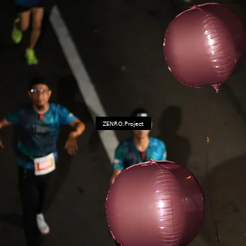 Runner Photo 4917608