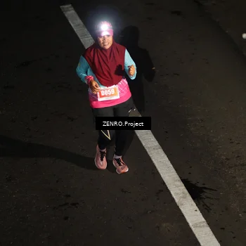 Runner Photo 4918041