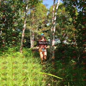 Runner Photo 4920
