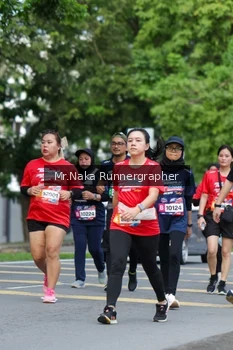 Runner Photo 49261