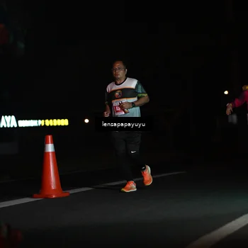 Runner Photo 4926882
