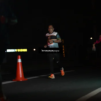Runner Photo 4926891
