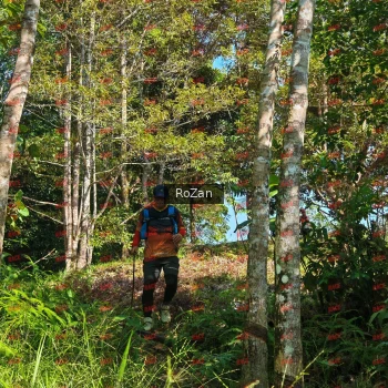 Runner Photo 4928