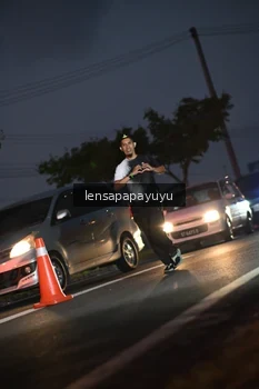 Runner Photo 4931818