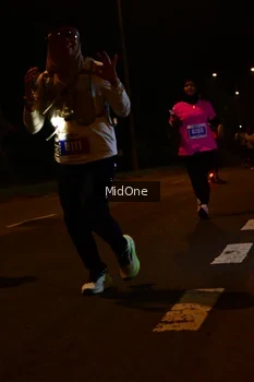 Runner Photo 4941910