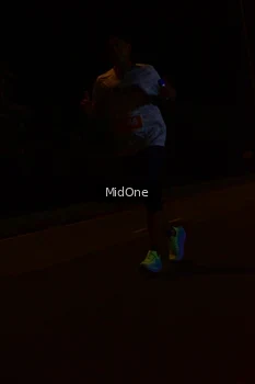 Runner Photo 4942282
