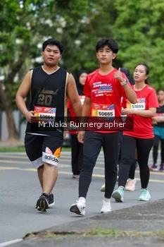 Runner Photo 49423