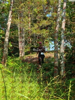 Runner Photo 4945
