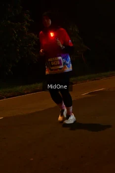Runner Photo 4946982
