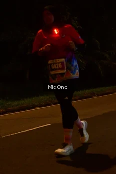 Runner Photo 4946988