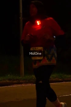 Runner Photo 4946994
