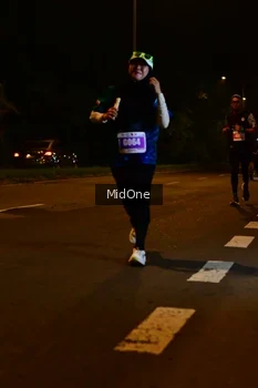 Runner Photo 4947037