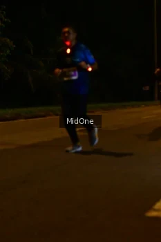 Runner Photo 4947378
