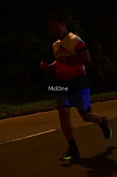 Runner Photo 4947654