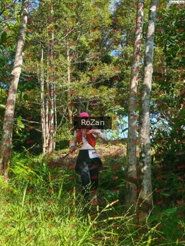Runner Photo 4948