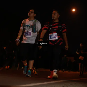 Runner Photo 4955810