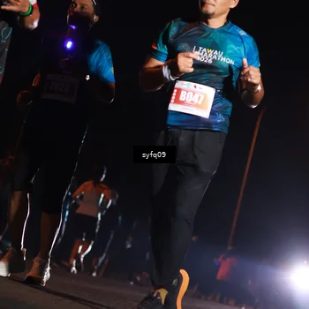 Runner Photo 4955820
